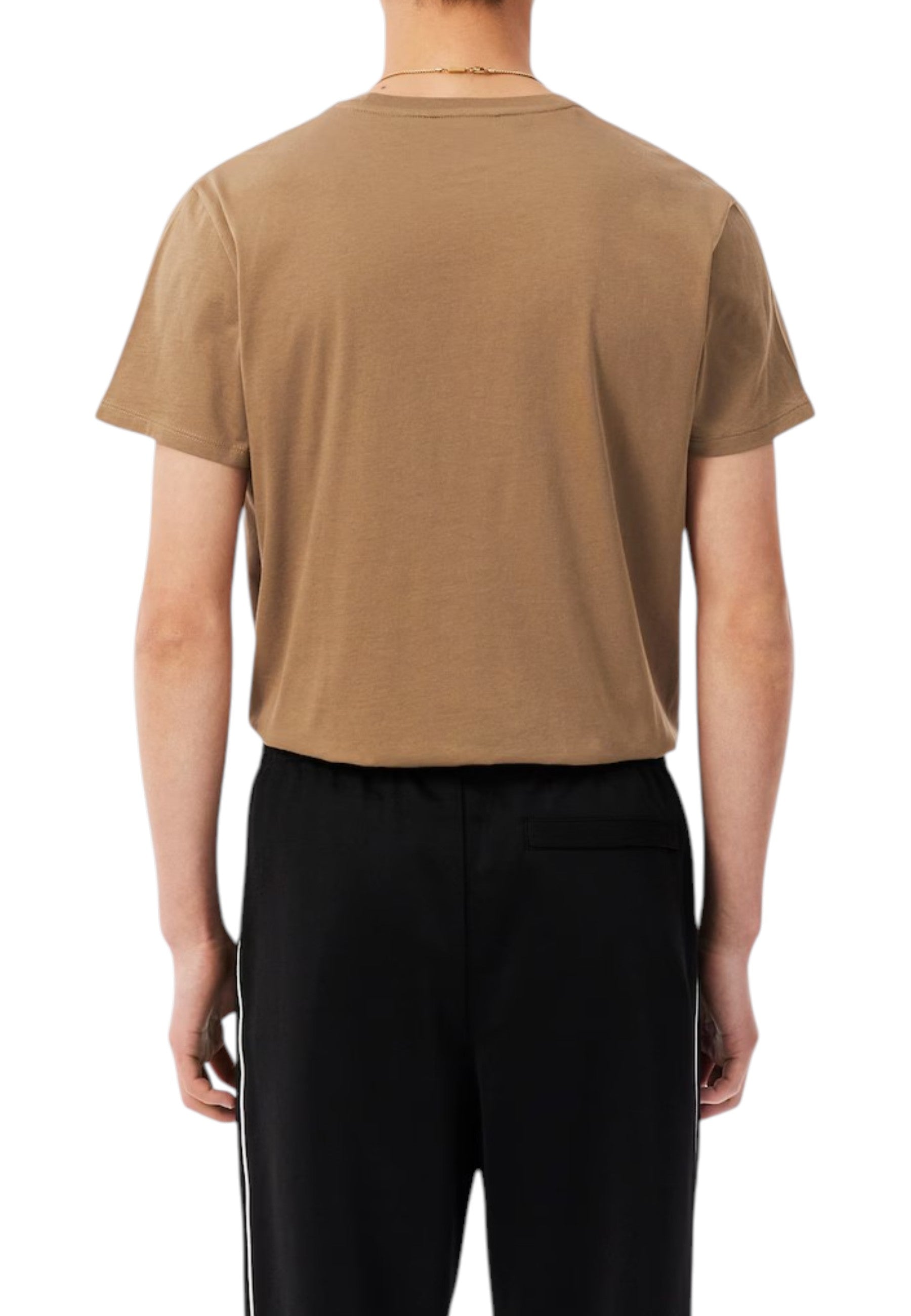 T-SHIRT E CANOTTE Cammello Lacoste