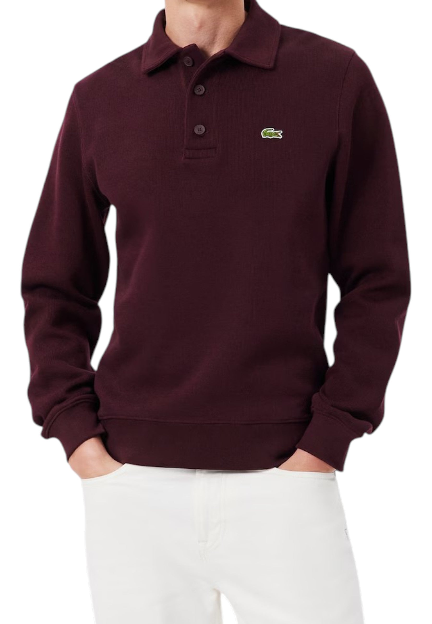MAGLIONI E POLO Bordeaux Lacoste