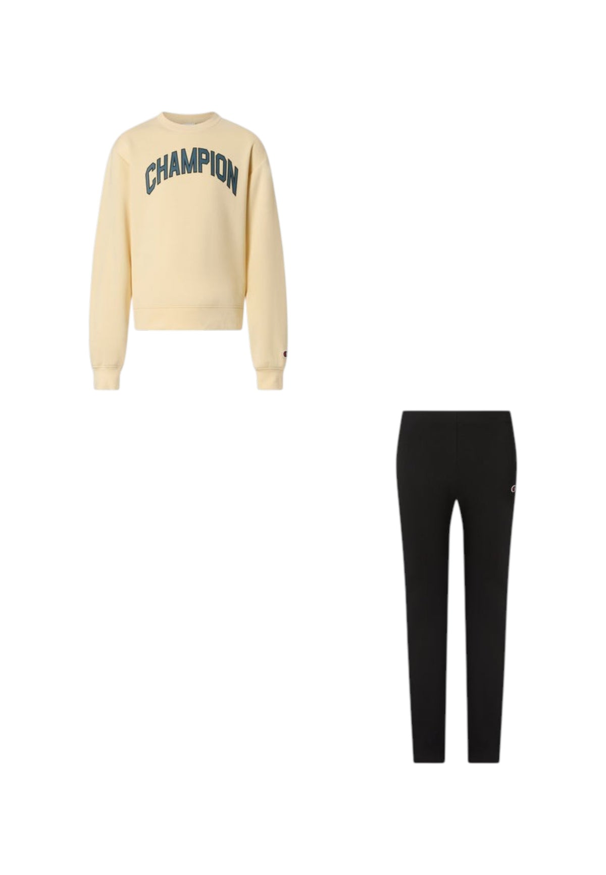 TUTE Beige/nero Champion