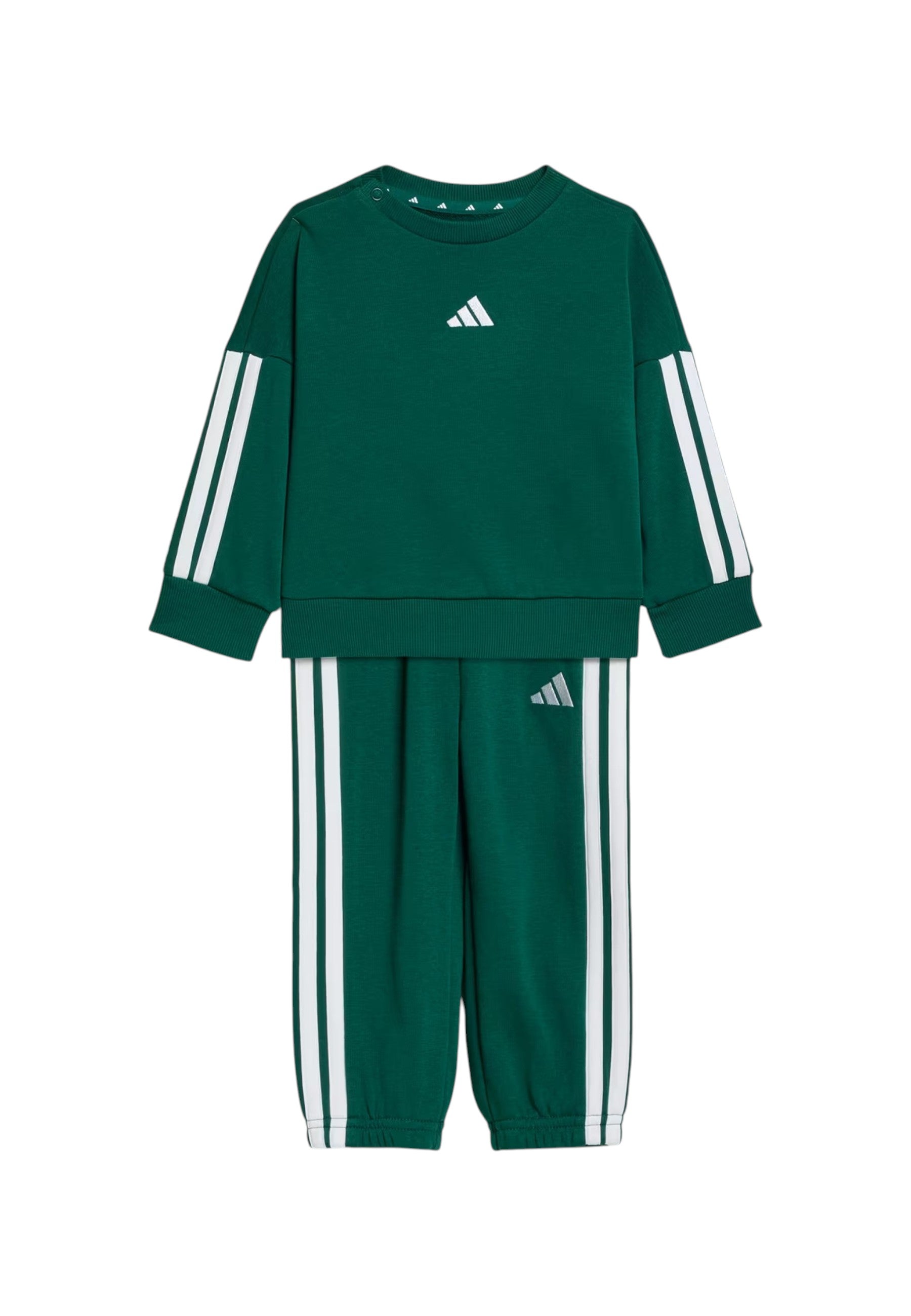 TUTE Verde/bianco Adidas