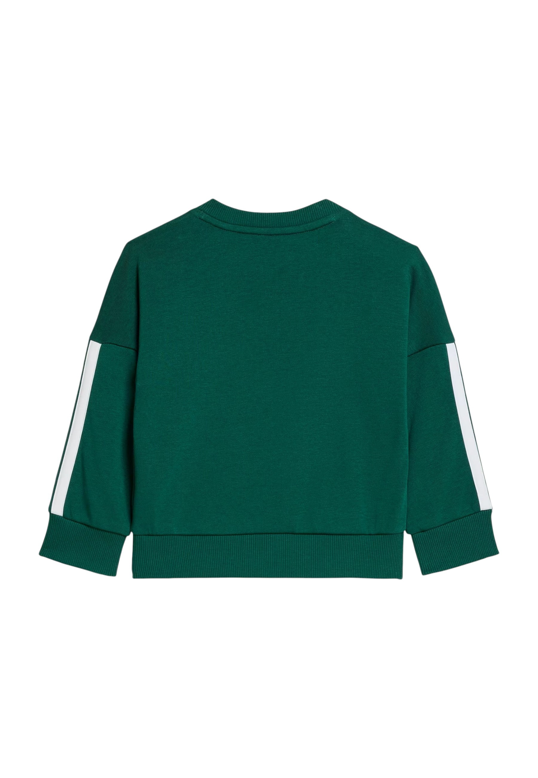 TUTE Verde/bianco Adidas