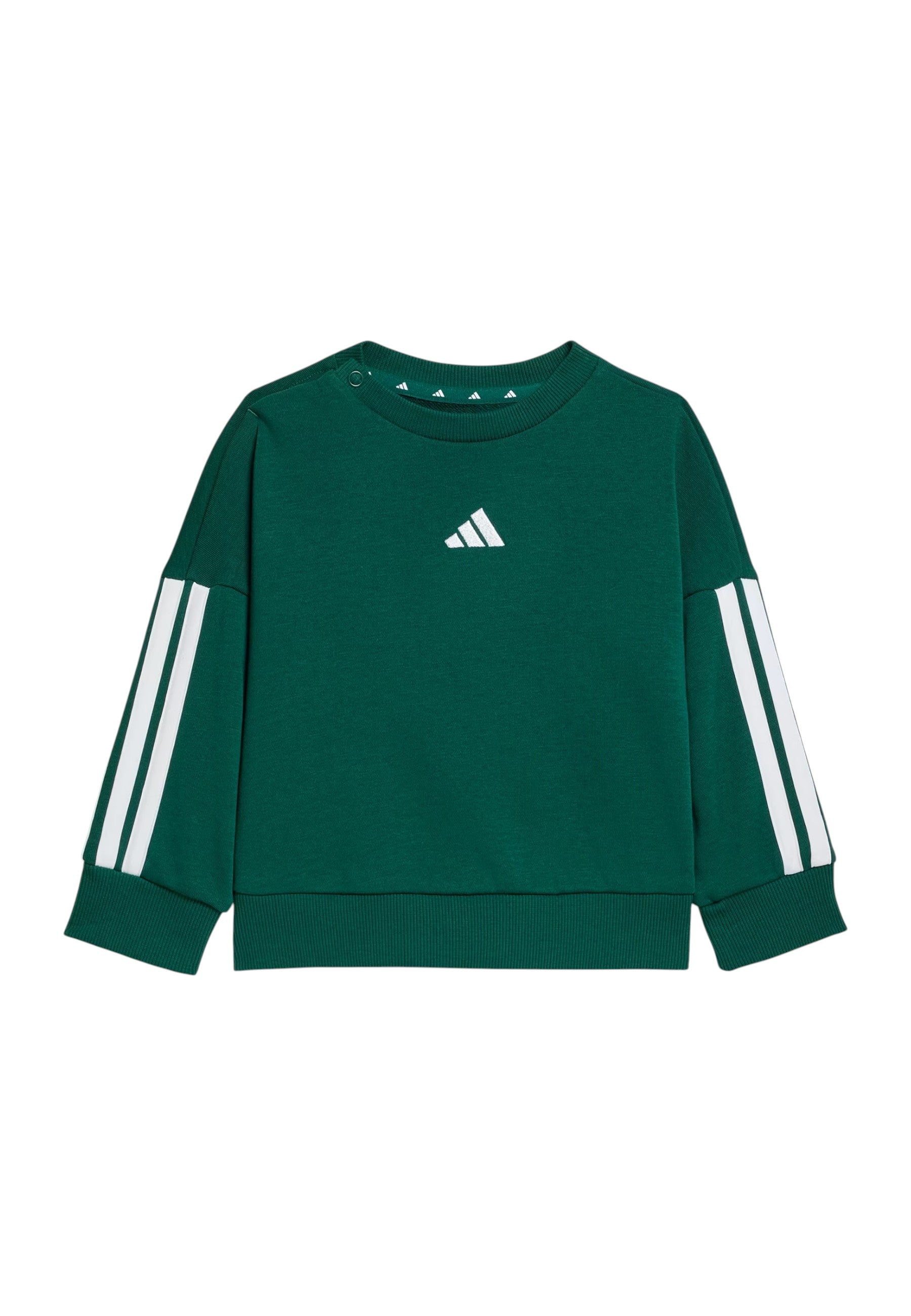 TUTE Verde/bianco Adidas