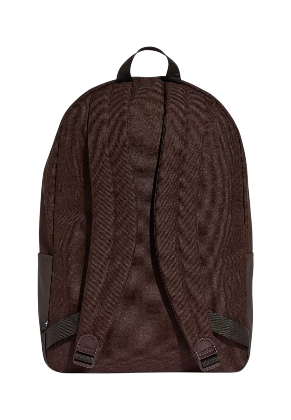 ACCESSORI LIFESTYLE Marrone/beige Adidas