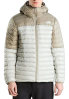 GIUBBINI E GIACCHE Ghiaccio The North Face