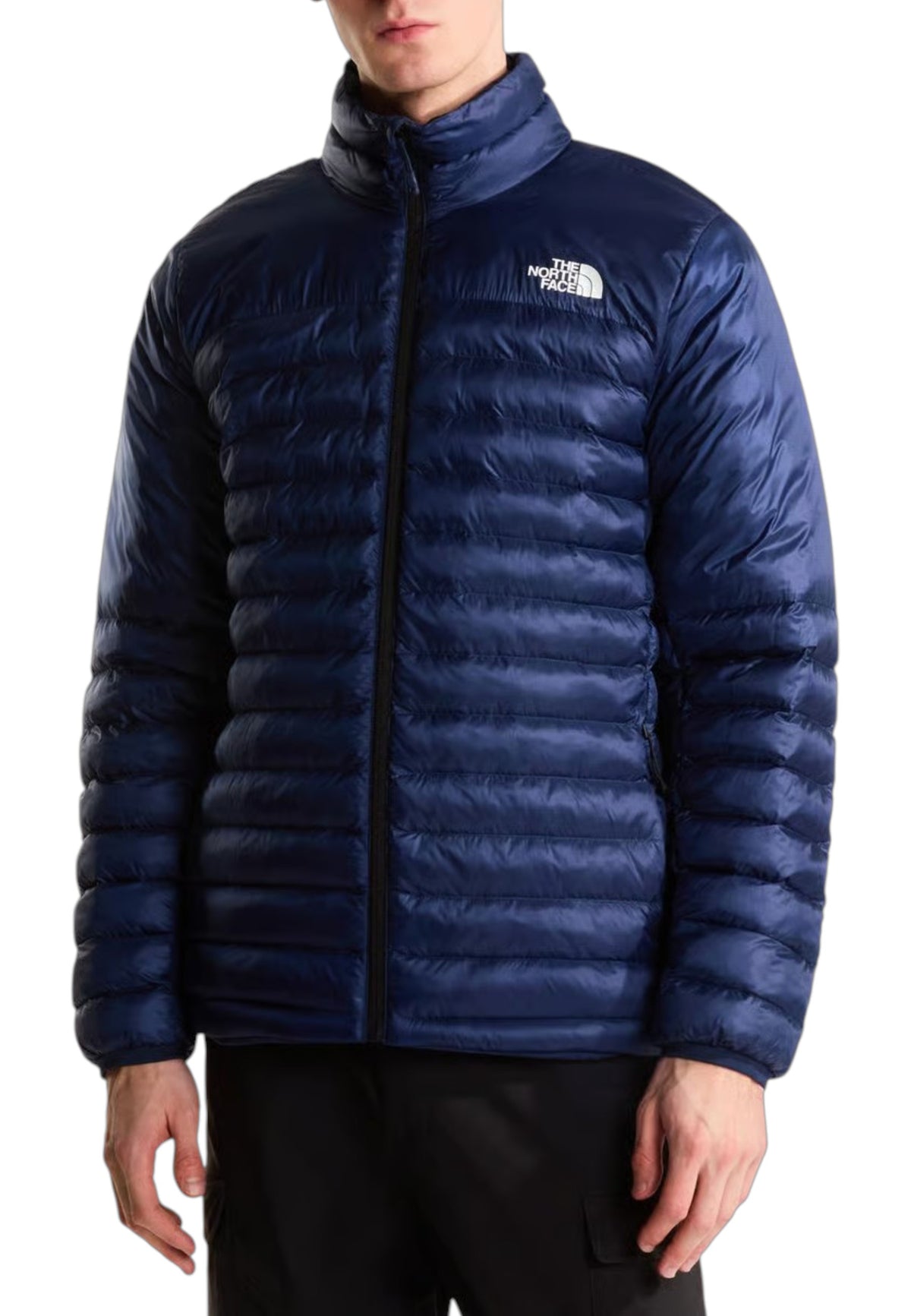 GIUBBINI E GIACCHE Blu The North Face