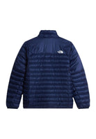 GIUBBINI E GIACCHE Blu The North Face