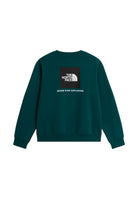FELPE Petrolio/nero The North Face