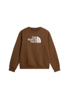 FELPE Verde/bianco The North Face