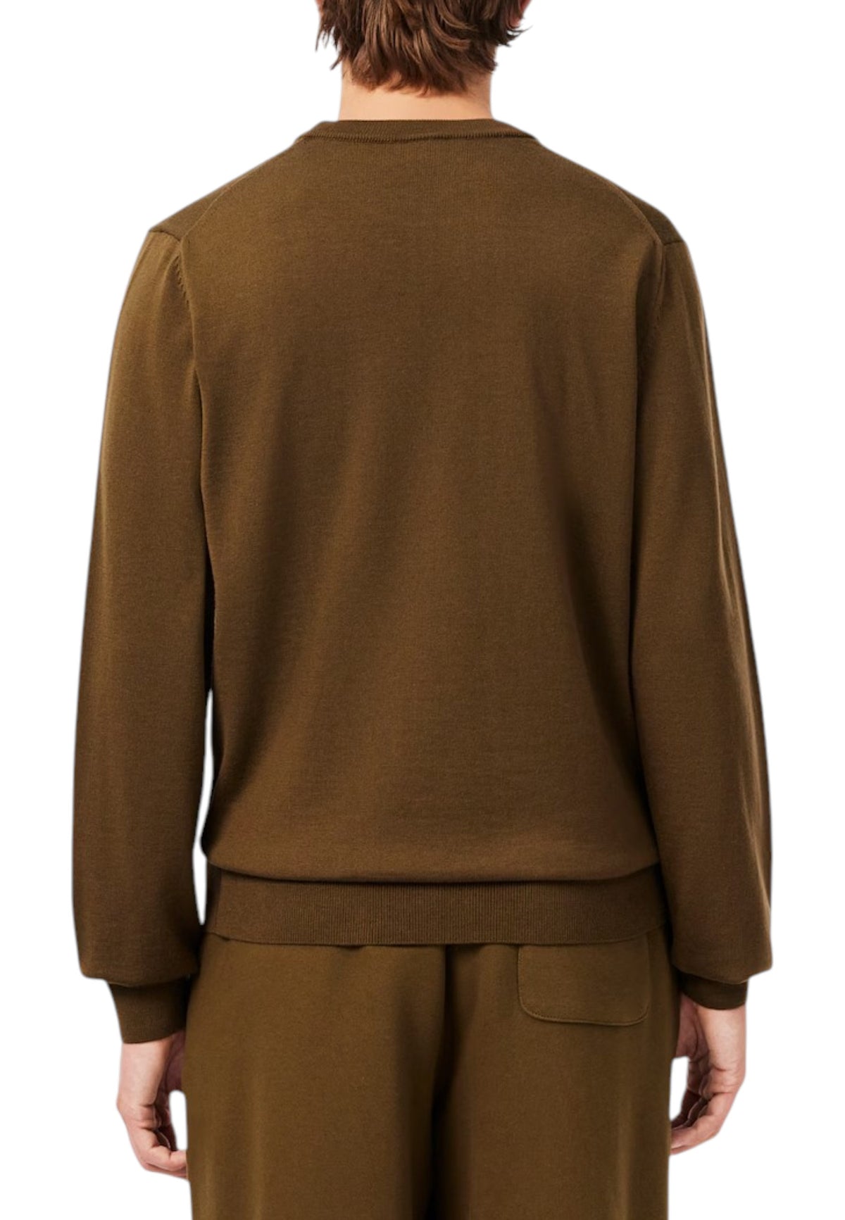 MAGLIONI E POLO Marrone Lacoste