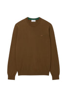 MAGLIONI E POLO Marrone Lacoste