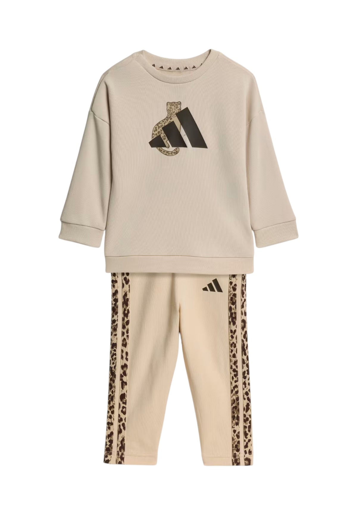 TUTE Beige/marrone Adidas