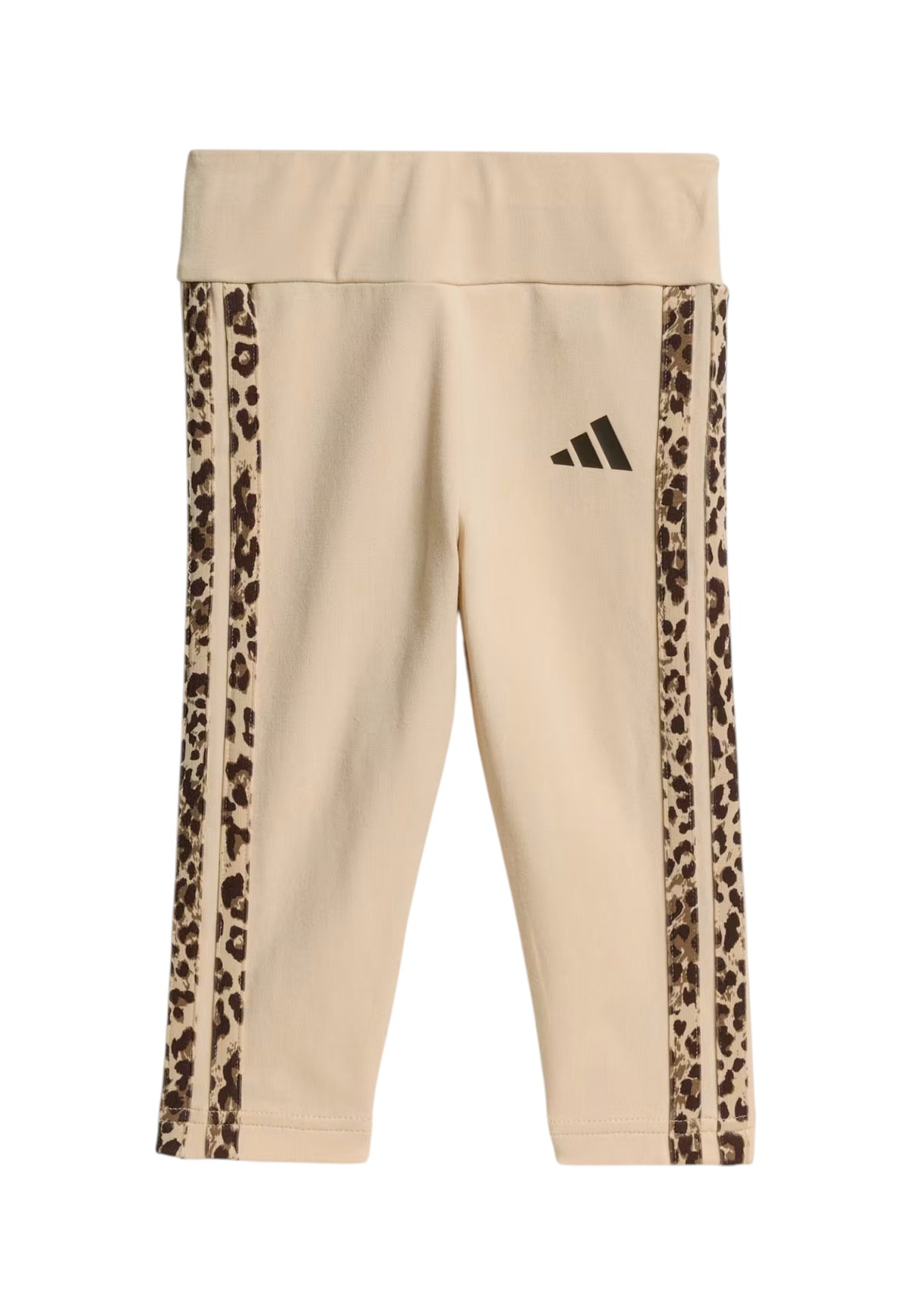 TUTE Beige/marrone Adidas