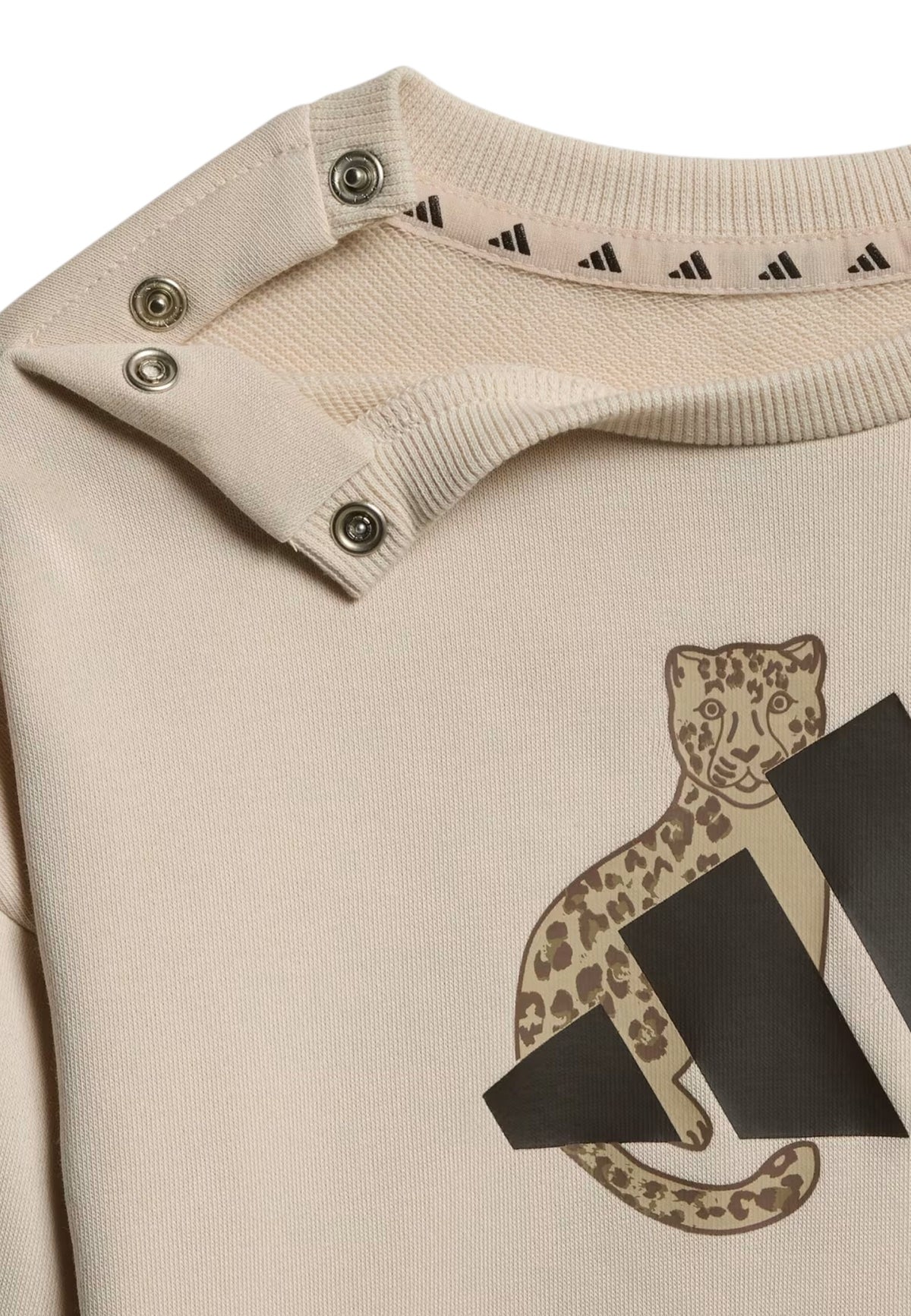 TUTE Beige/marrone Adidas