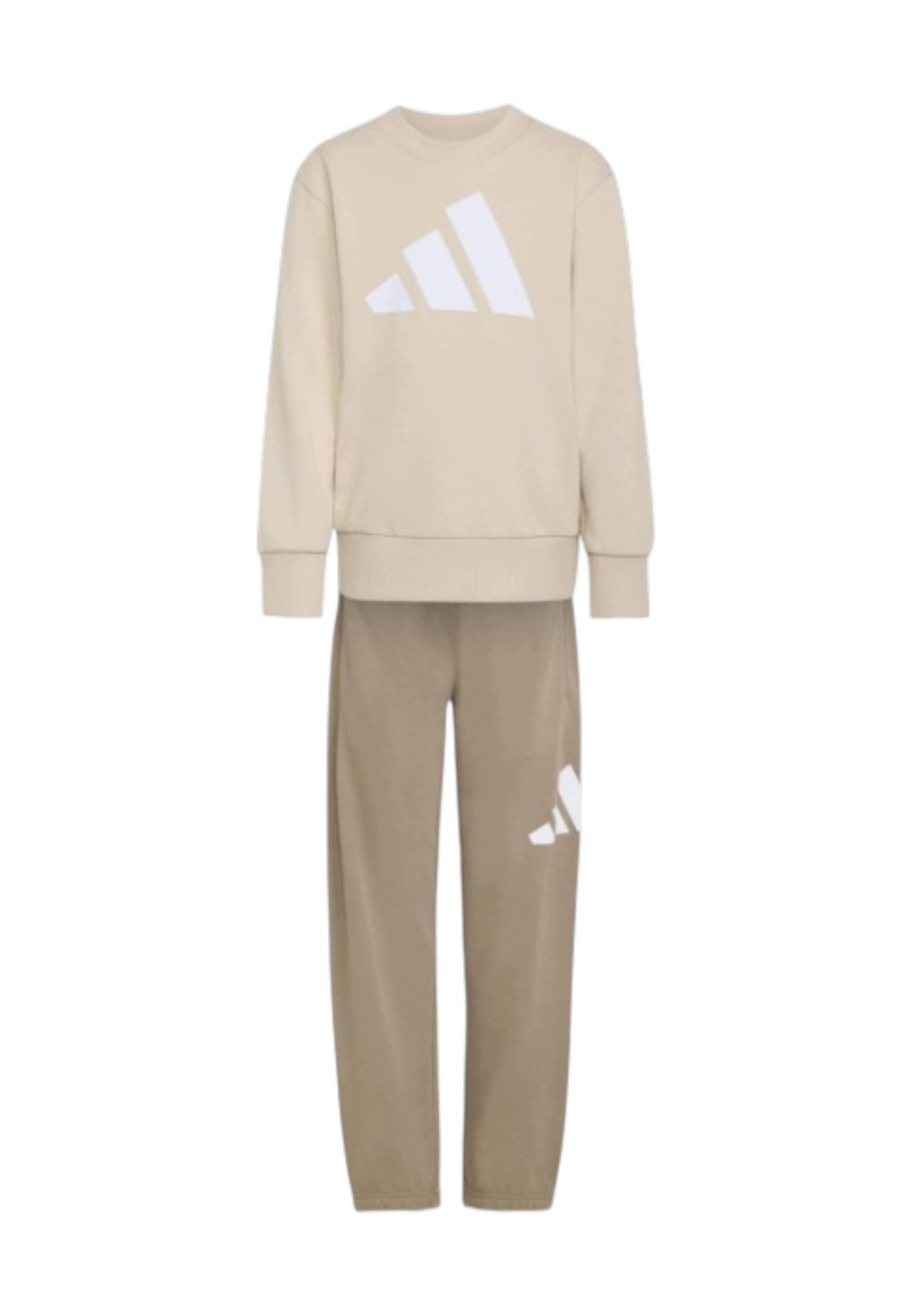 TUTE Beige Adidas