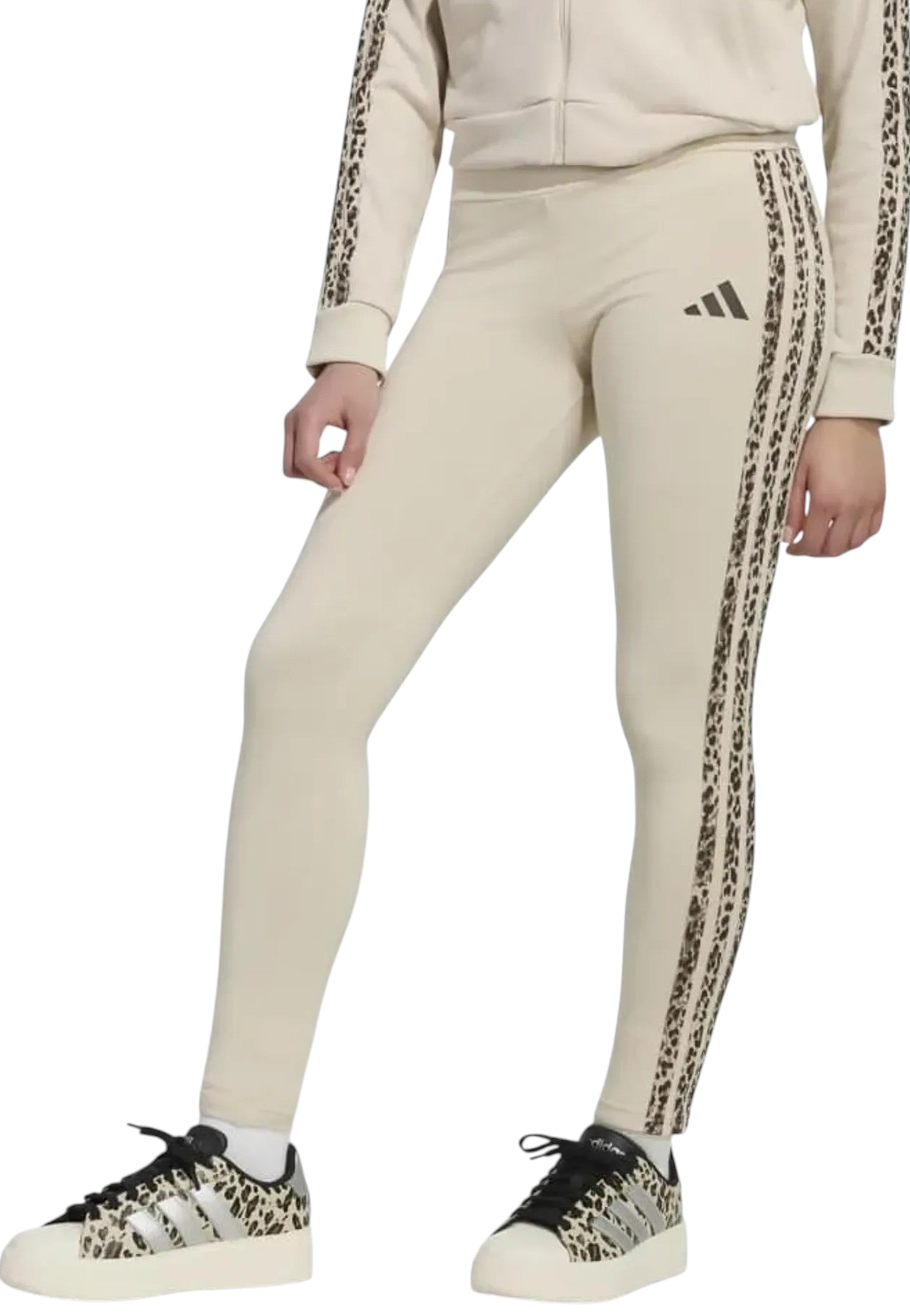 PANTALONI Beige/marrone Adidas