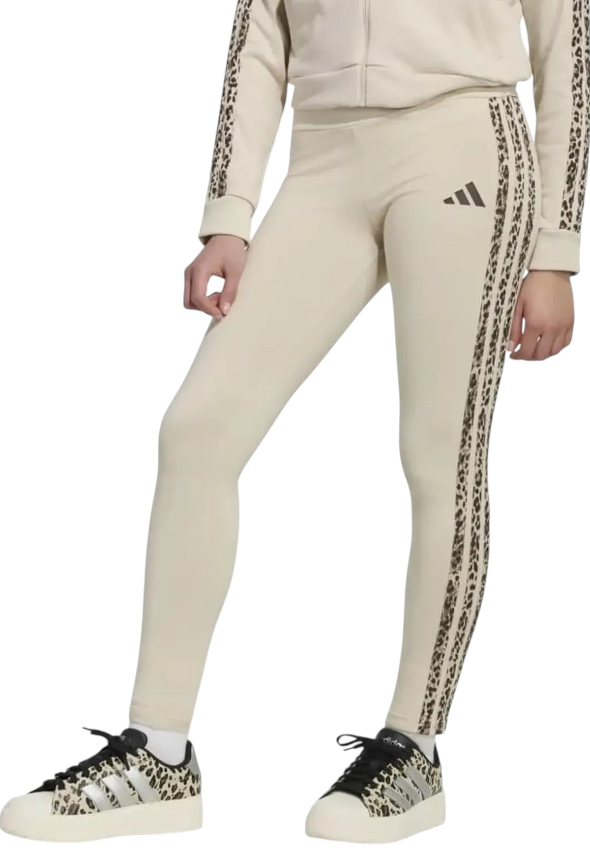 PANTALONI Beige/marrone Adidas
