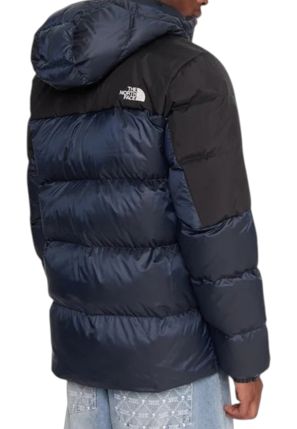 GIUBBINI E GIACCHE Blu/nero The North Face