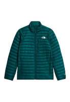 GIUBBINI E GIACCHE Verde The North Face