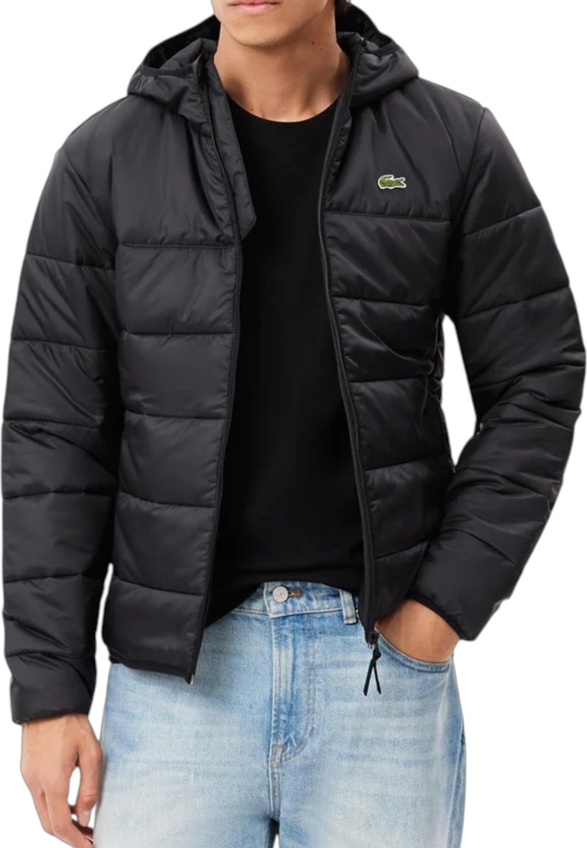 GIUBBINI E GIACCHE Nero Lacoste