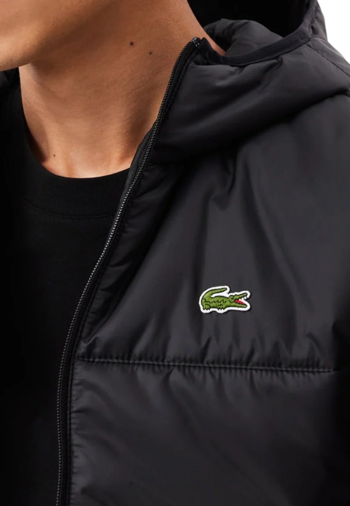 GIUBBINI E GIACCHE Nero Lacoste
