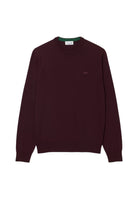 MAGLIONI E POLO Bordeaux Lacoste
