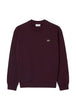 FELPE Bordeaux Lacoste