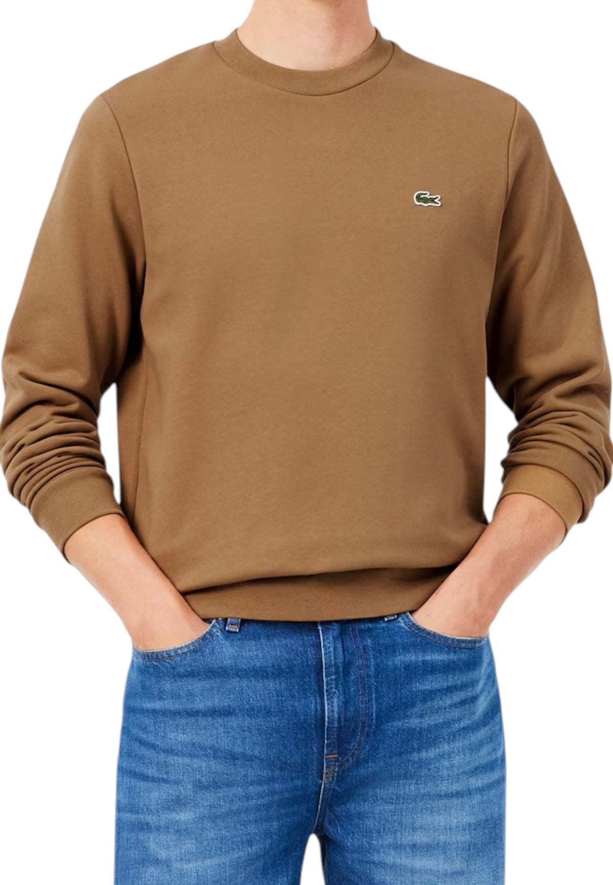 FELPE Caramello Lacoste