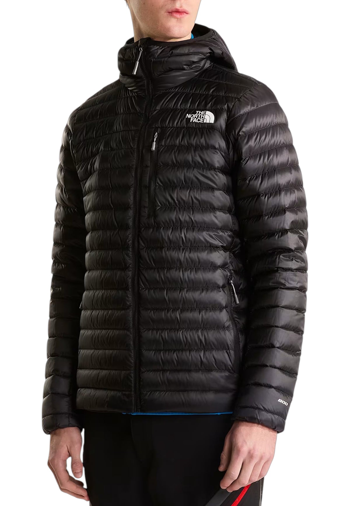 GIUBBINI E GIACCHE Nero The North Face