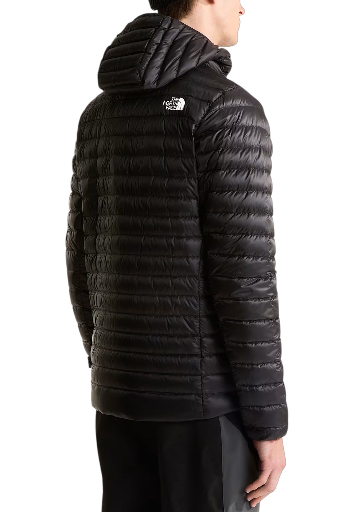 GIUBBINI E GIACCHE Nero The North Face