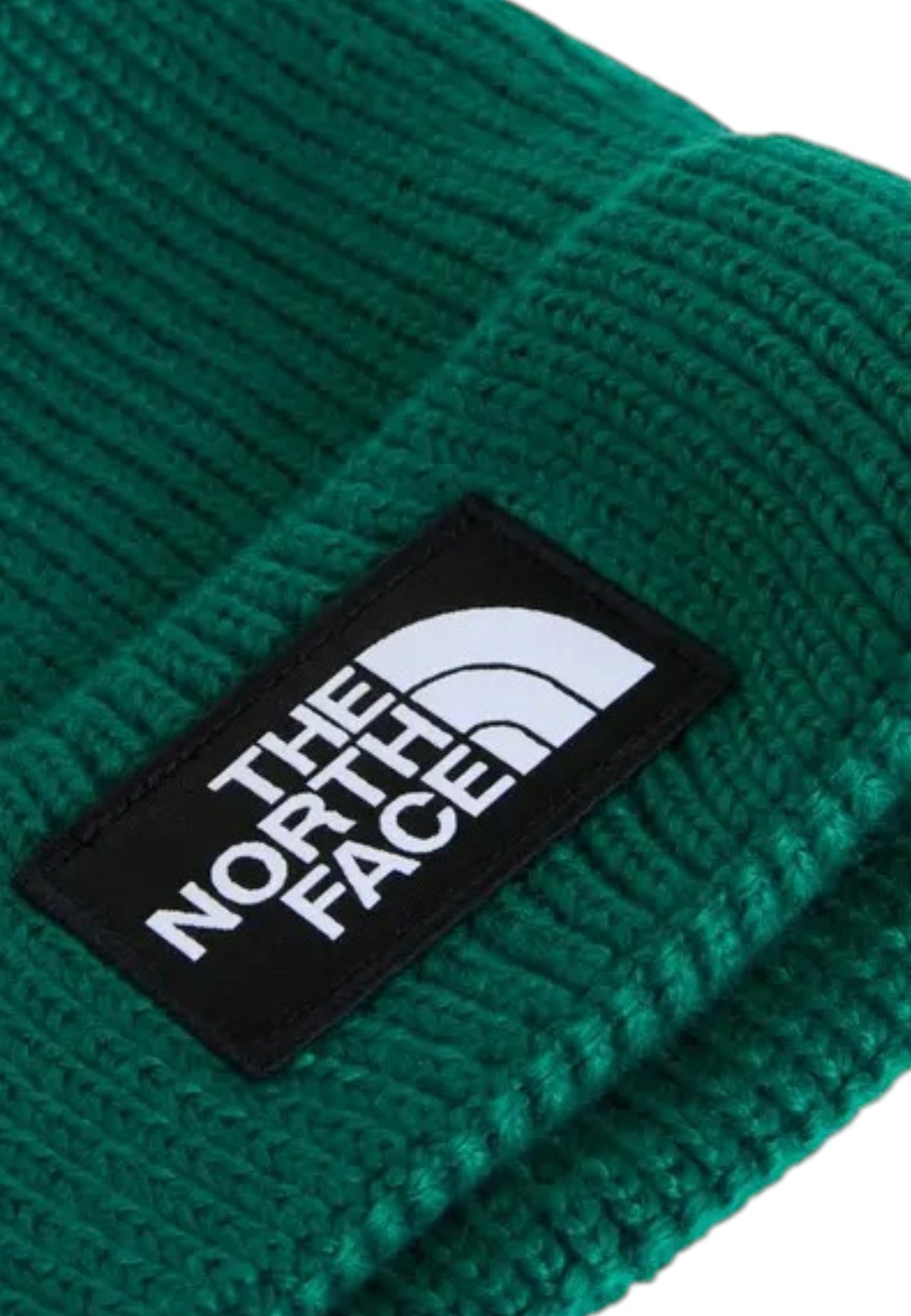 ACCESSORI LIFESTYLE Verde The North Face
