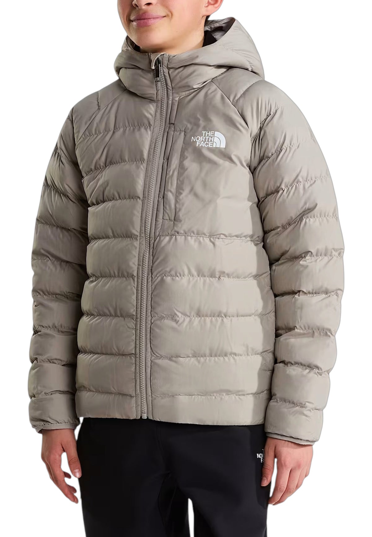 GIUBBINI E GIACCHE Beige The North Face