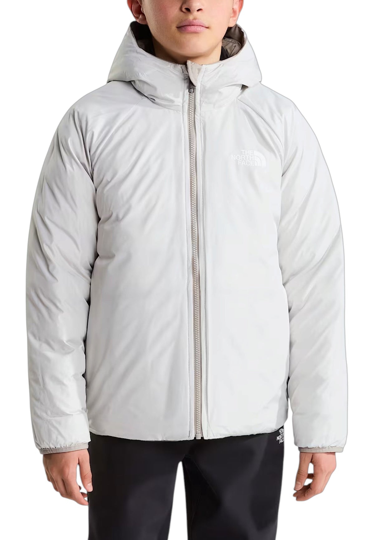 GIUBBINI E GIACCHE Beige The North Face