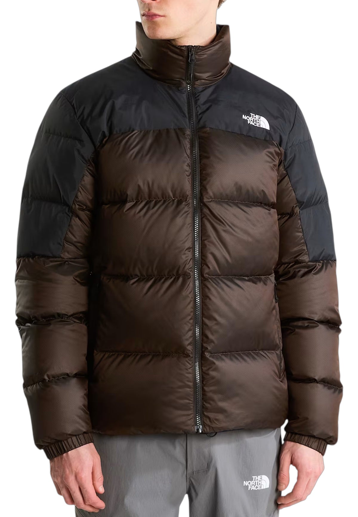 GIUBBINI E GIACCHE Marrone/nero The North Face