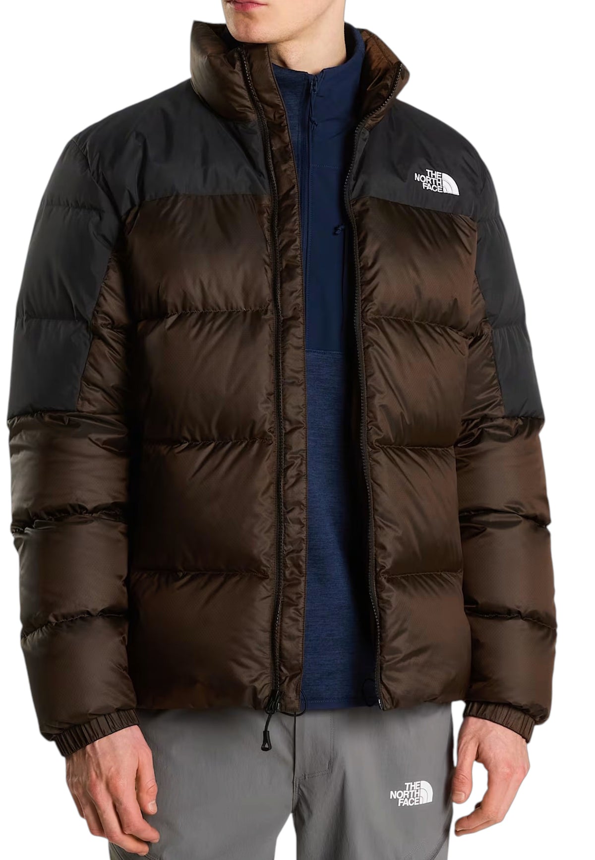 GIUBBINI E GIACCHE Marrone/nero The North Face