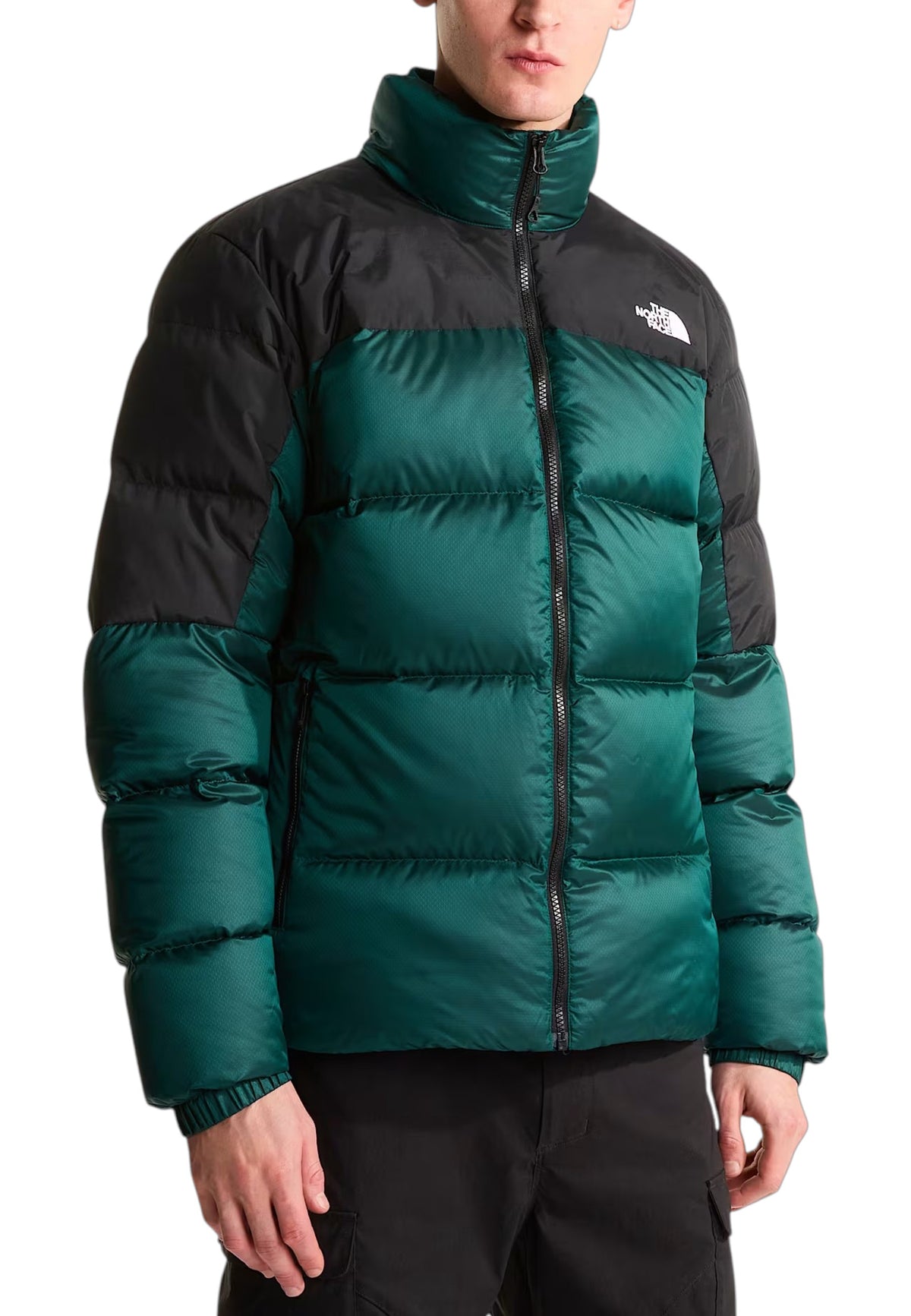 GIUBBINI E GIACCHE Verde/nero The North Face