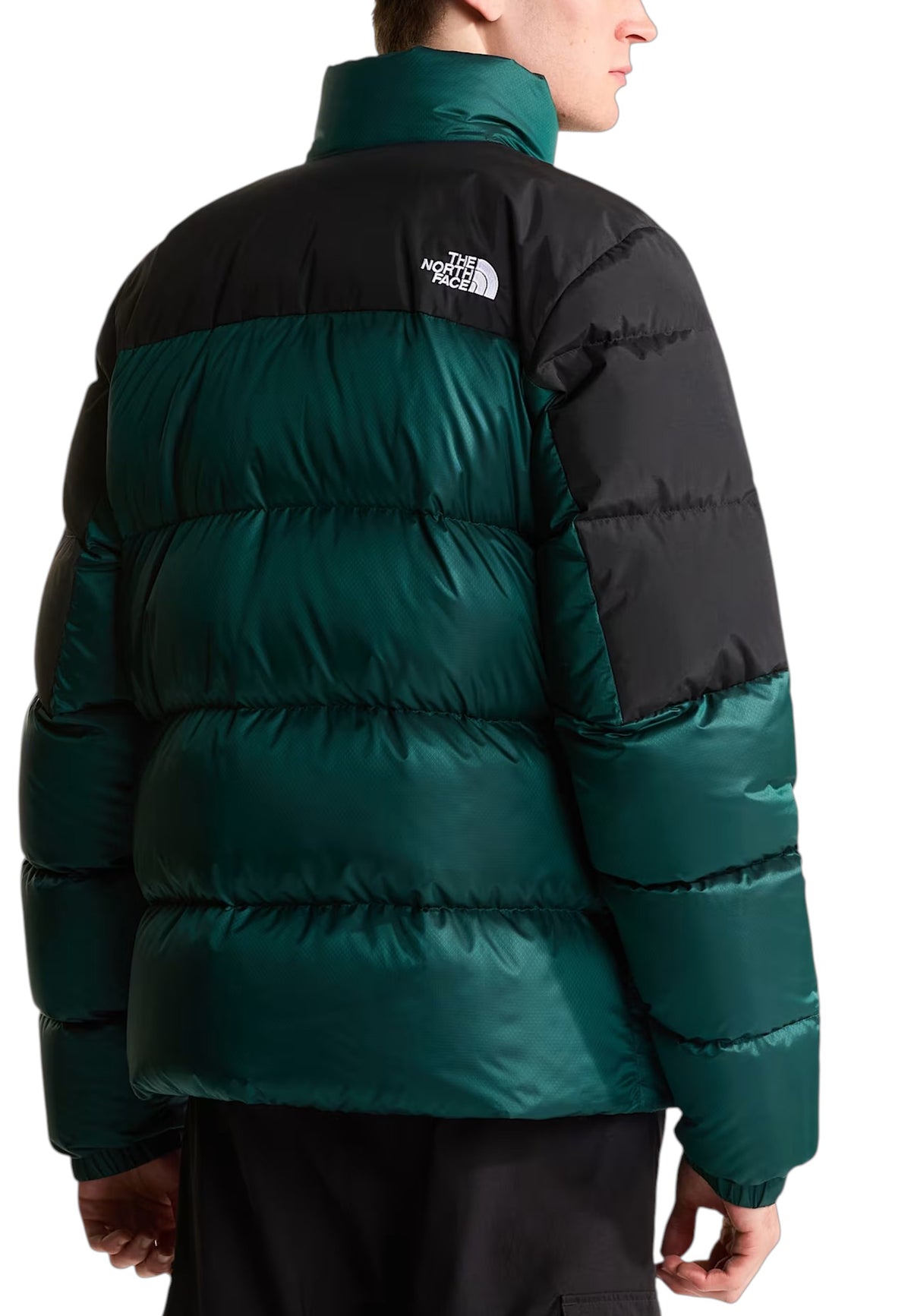 GIUBBINI E GIACCHE Verde/nero The North Face