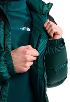 GIUBBINI E GIACCHE Verde/nero The North Face