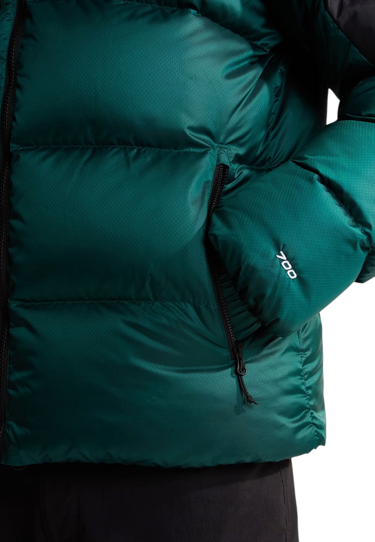 GIUBBINI E GIACCHE Verde/nero The North Face