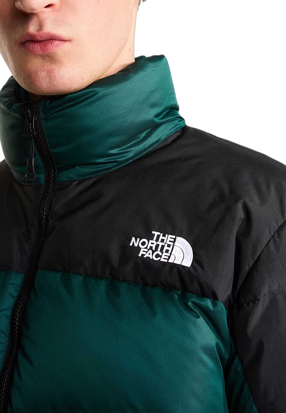 GIUBBINI E GIACCHE Verde/nero The North Face