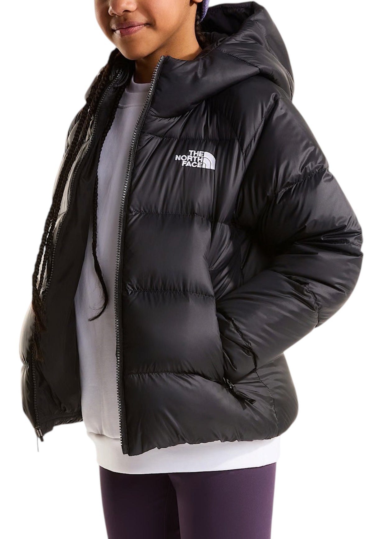 GIUBBINI E GIACCHE Nero The North Face