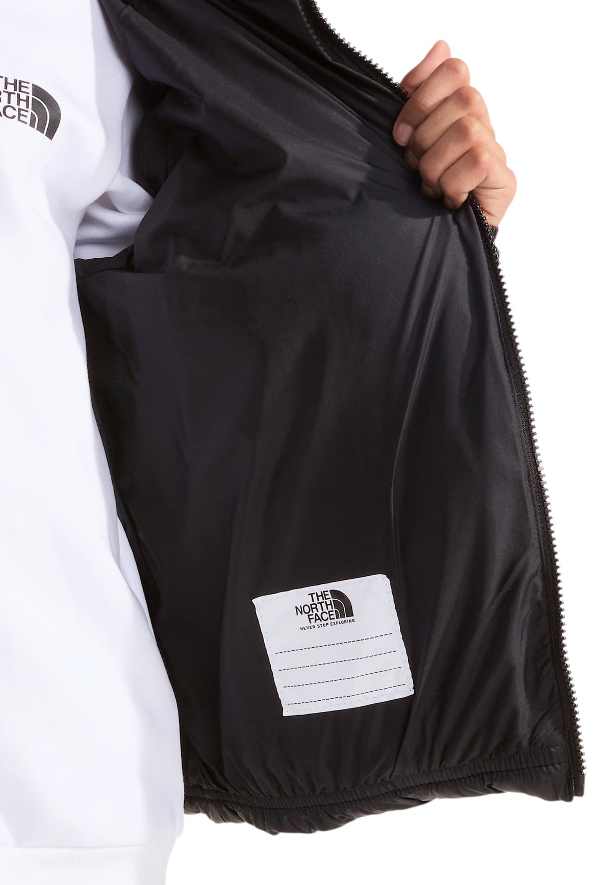 GIUBBINI E GIACCHE Nero The North Face