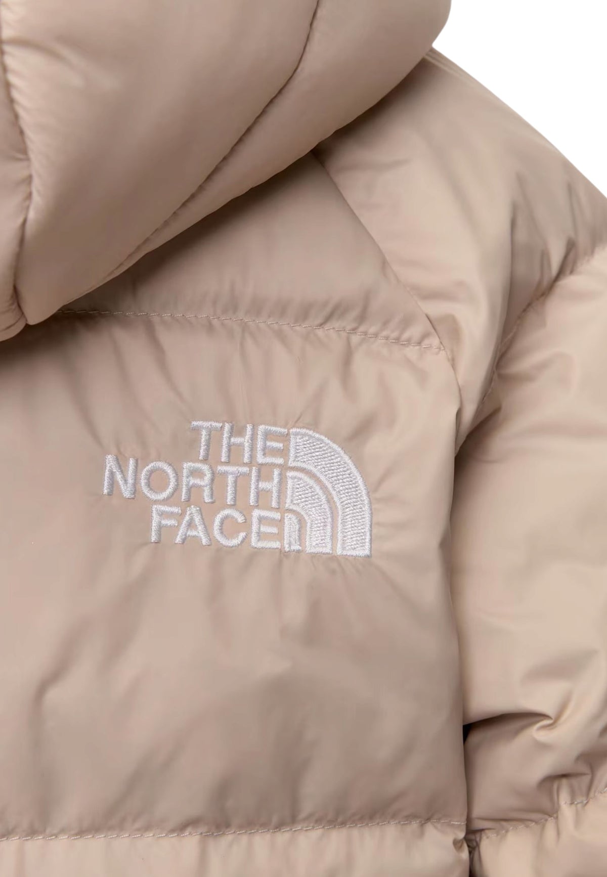GIUBBINI E GIACCHE Beige The North Face