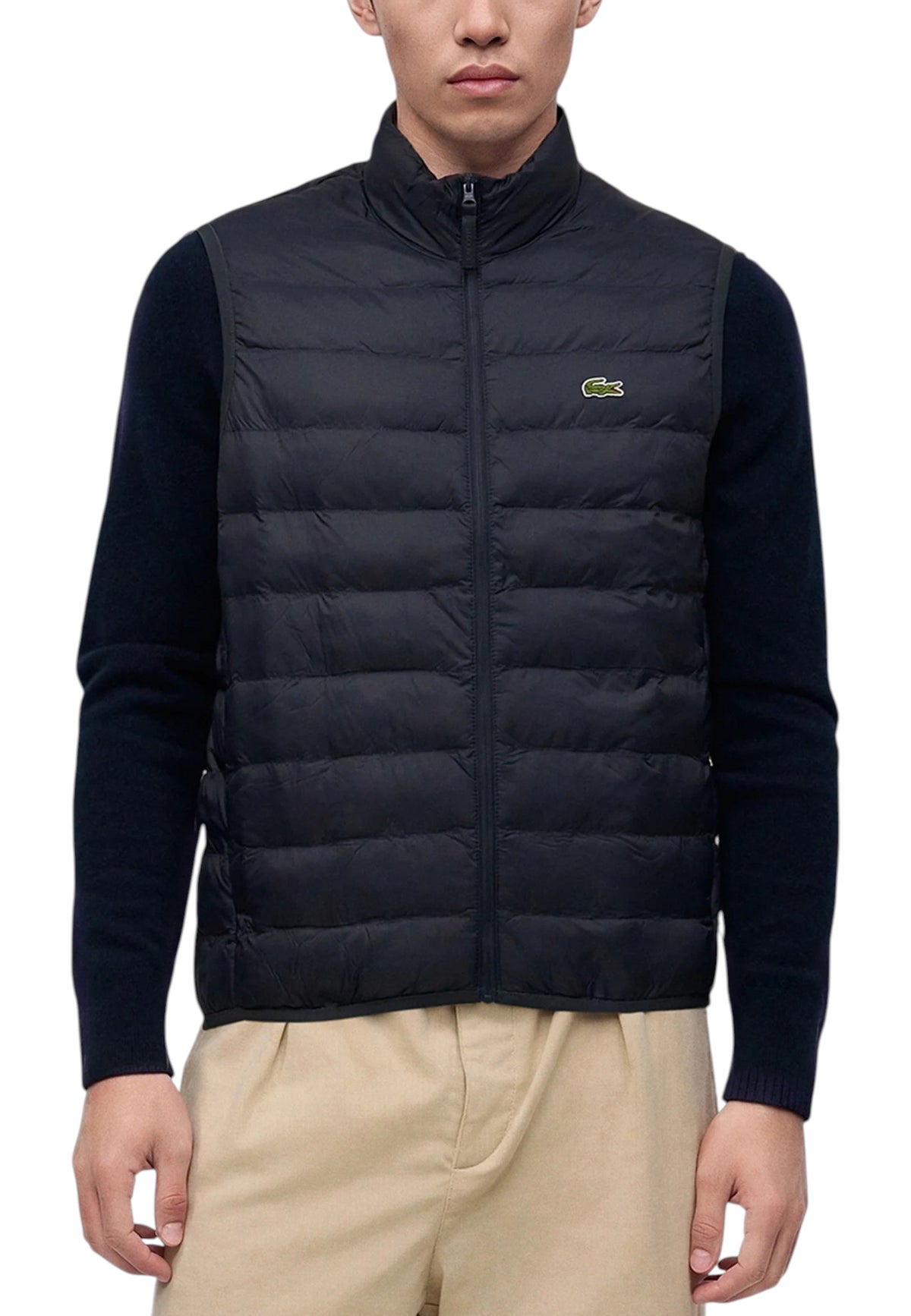 GIUBBINI E GIACCHE Marine Lacoste