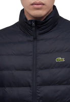 GIUBBINI E GIACCHE Marine Lacoste