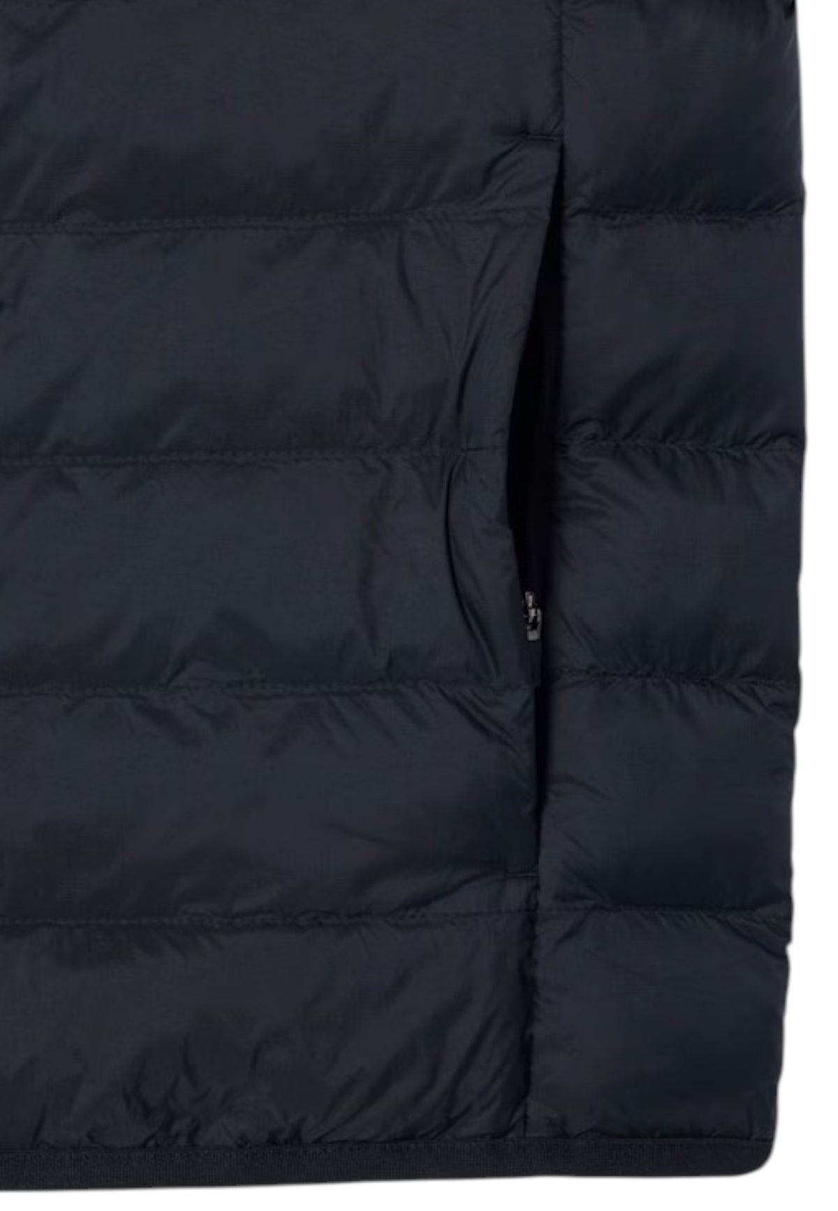 GIUBBINI E GIACCHE Marine Lacoste