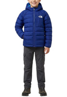 GIUBBINI E GIACCHE Blu/azzurro The North Face