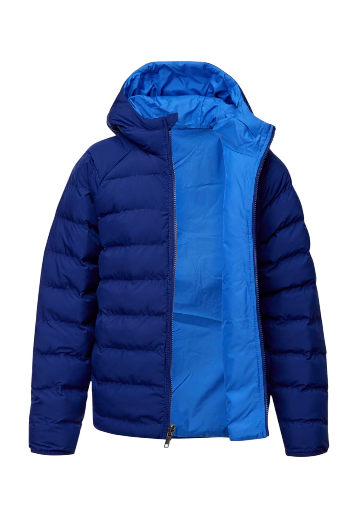 GIUBBINI E GIACCHE Blu/azzurro The North Face