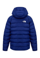 GIUBBINI E GIACCHE Blu/azzurro The North Face