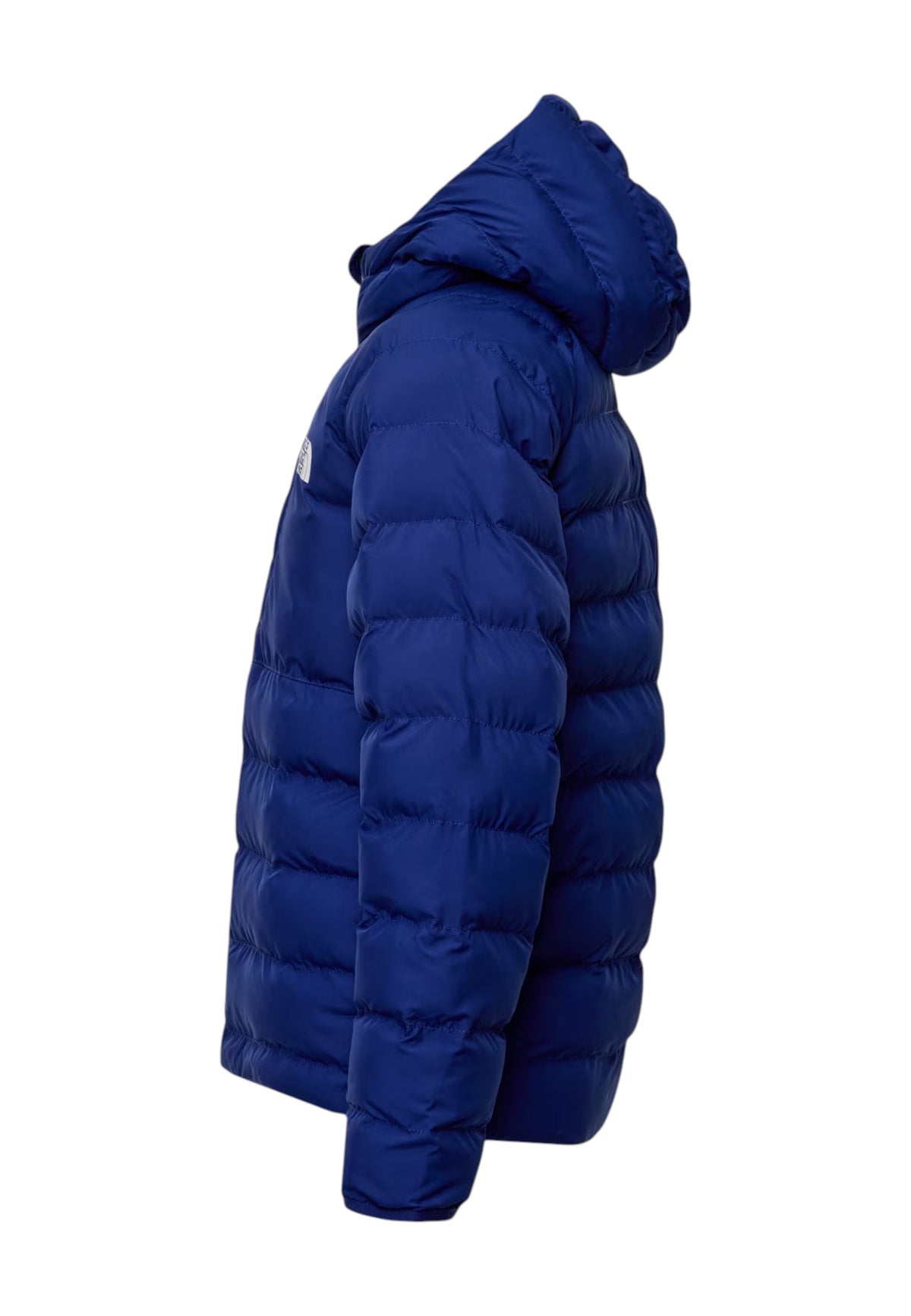 GIUBBINI E GIACCHE Blu/azzurro The North Face