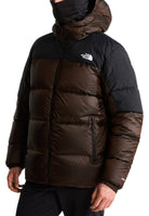 GIUBBINI E GIACCHE Marrone/nero The North Face